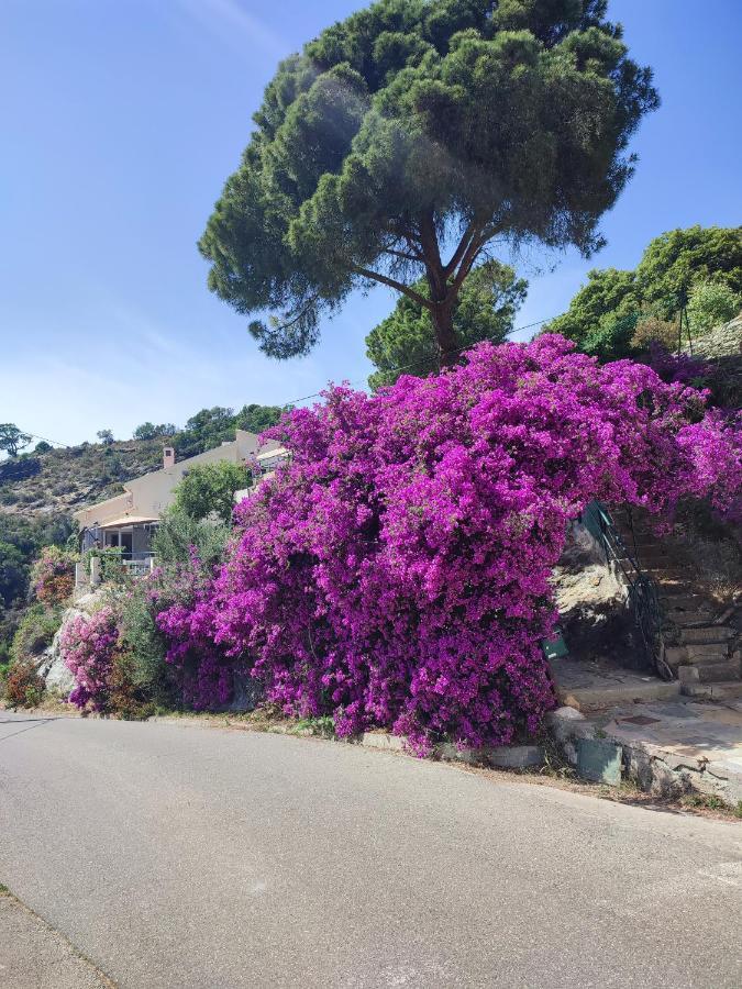 La Vallicella Farinole Dış mekan fotoğraf