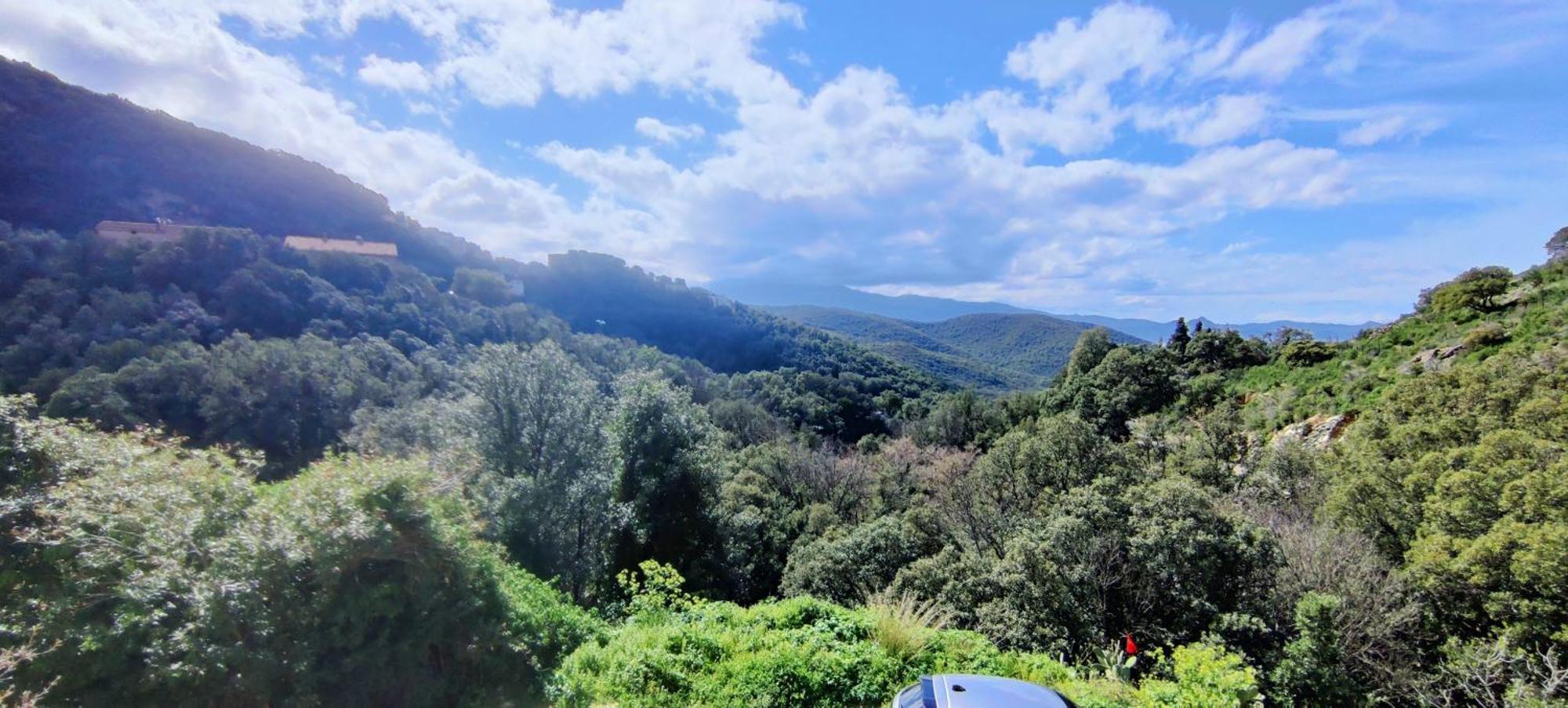 La Vallicella Farinole Oda fotoğraf